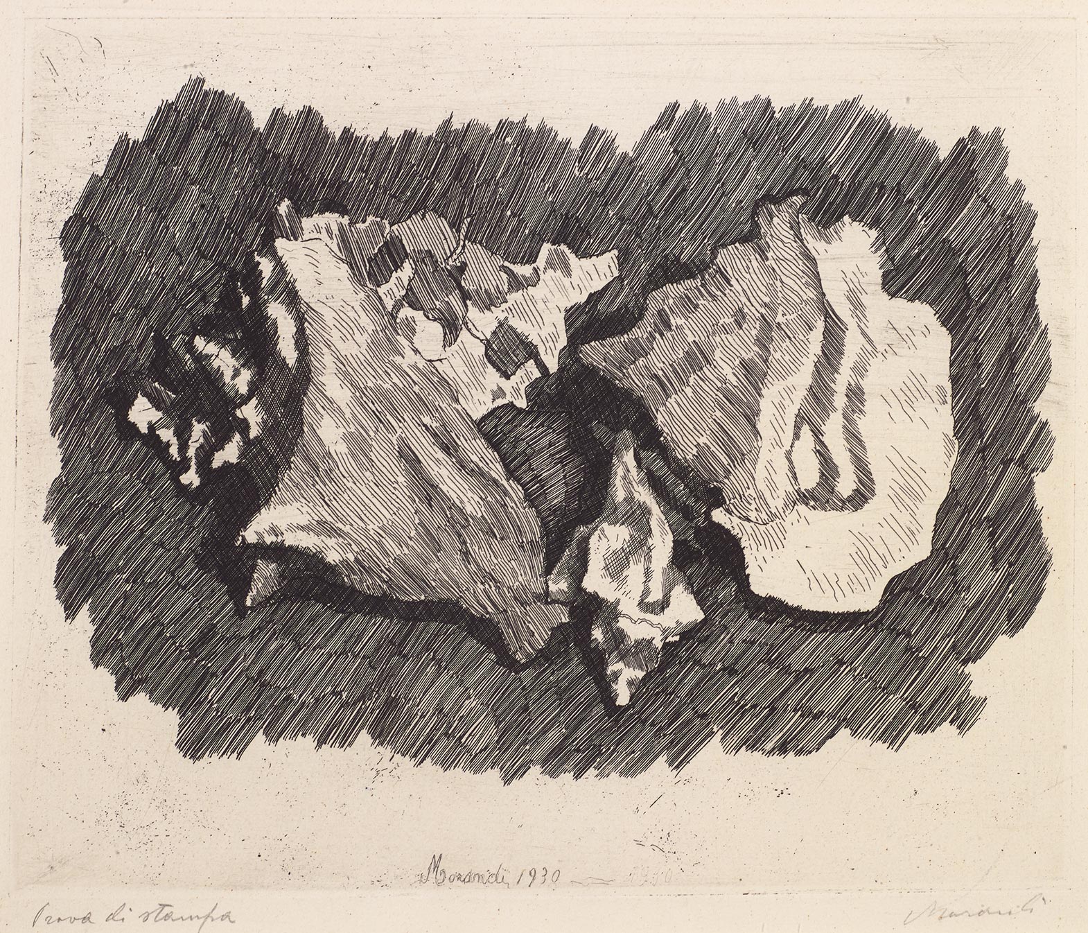 Giorgio Morandi, Still Life with Shells, 1930